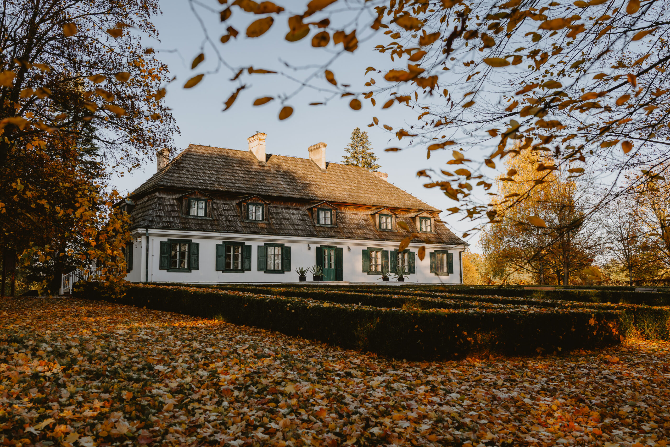 Widok na Dwór z Moniak