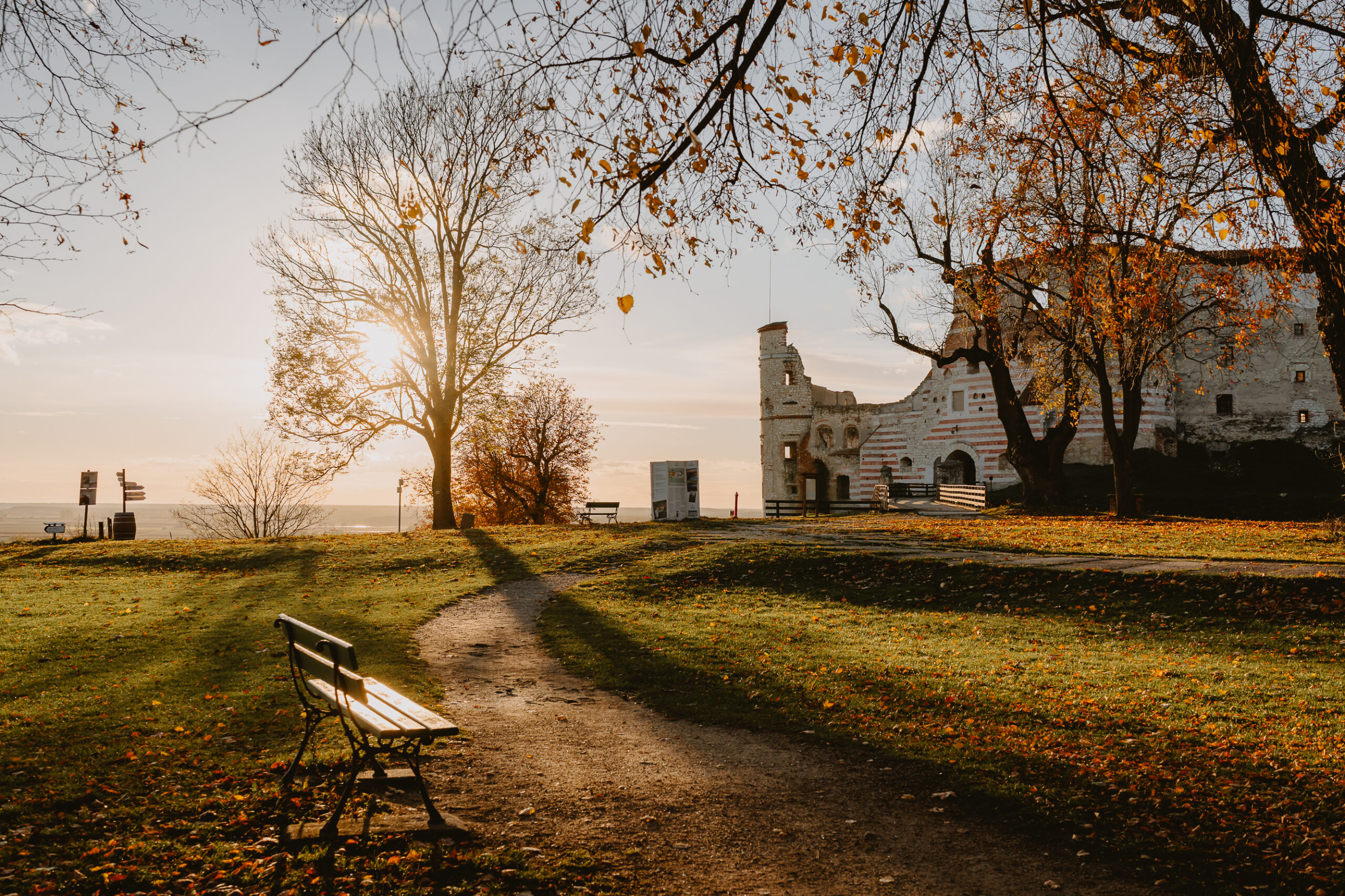 Widok na Zamek w Janowcu