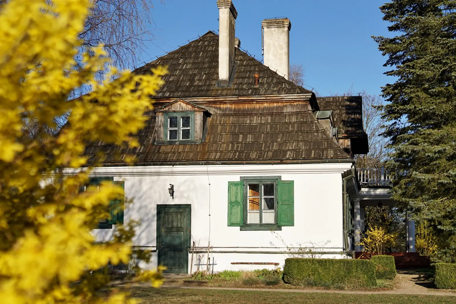 Dwór z Moniak wiosną, na zdjęciu widać kwitnącą forsycję