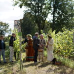 uczestnicy podczas wydarzenia V Białe Czerwone Winobranie